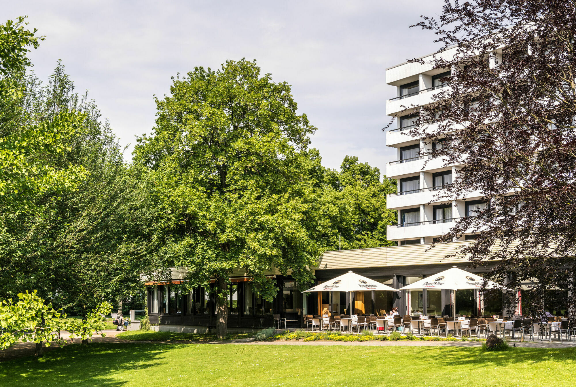 Dorint Parkhotel Bad Neuenahr Eksteriør bilde